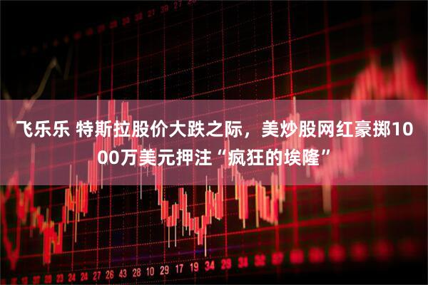 飞乐乐 特斯拉股价大跌之际，美炒股网红豪掷1000万美元押注“疯狂的埃隆”