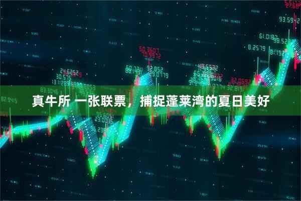 真牛所 一张联票，捕捉蓬莱湾的夏日美好