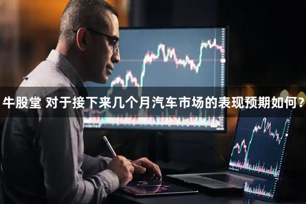 牛股堂 对于接下来几个月汽车市场的表现预期如何？